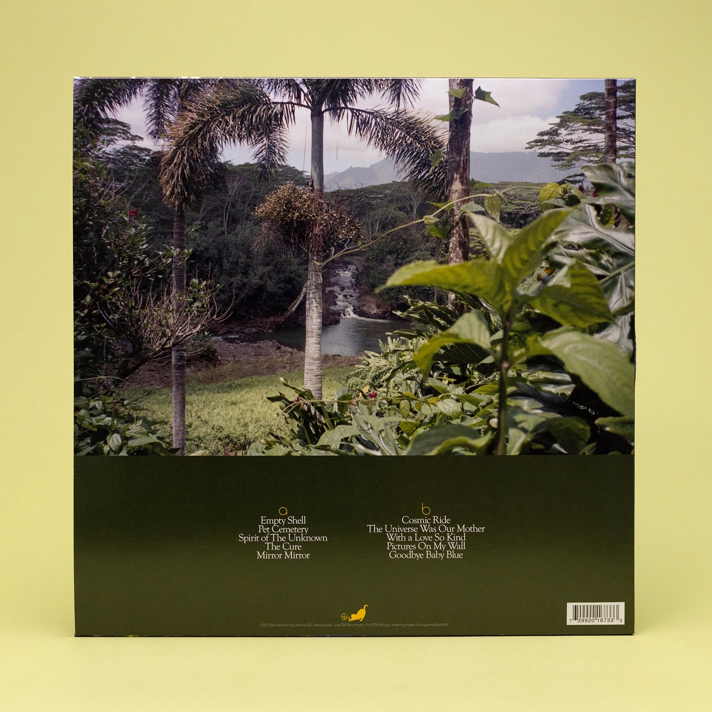 Angelo De Augustine - Angel In Plainclothes LP