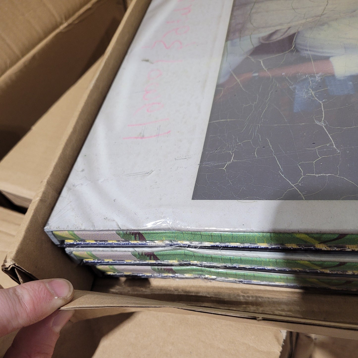 Sufjan Stevens - Carrie & Lowell (10th Anniversary Edition) (DAMAGED - Final Sale)