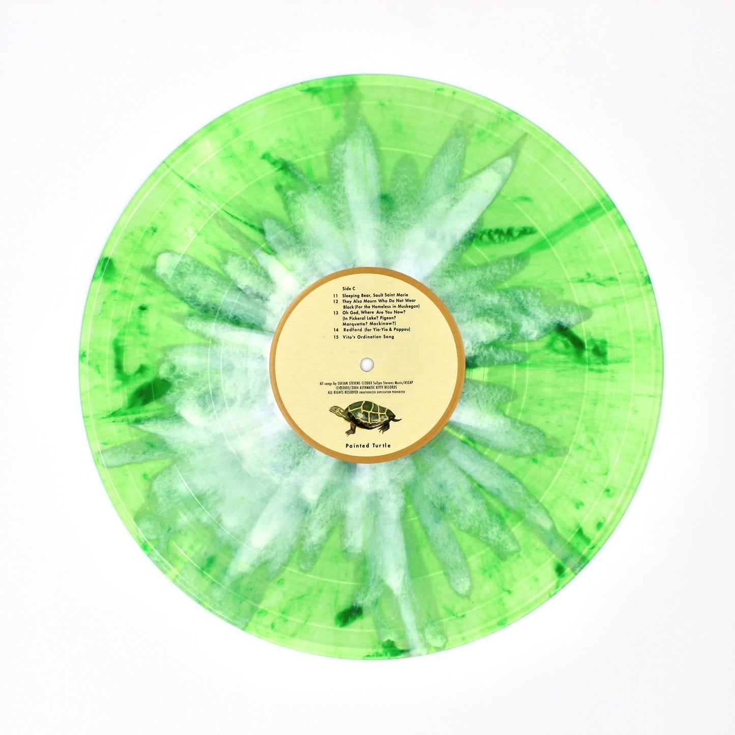 Sufjan Stevens - Michigan (University of Michigan/Michigan State AKR Edition)