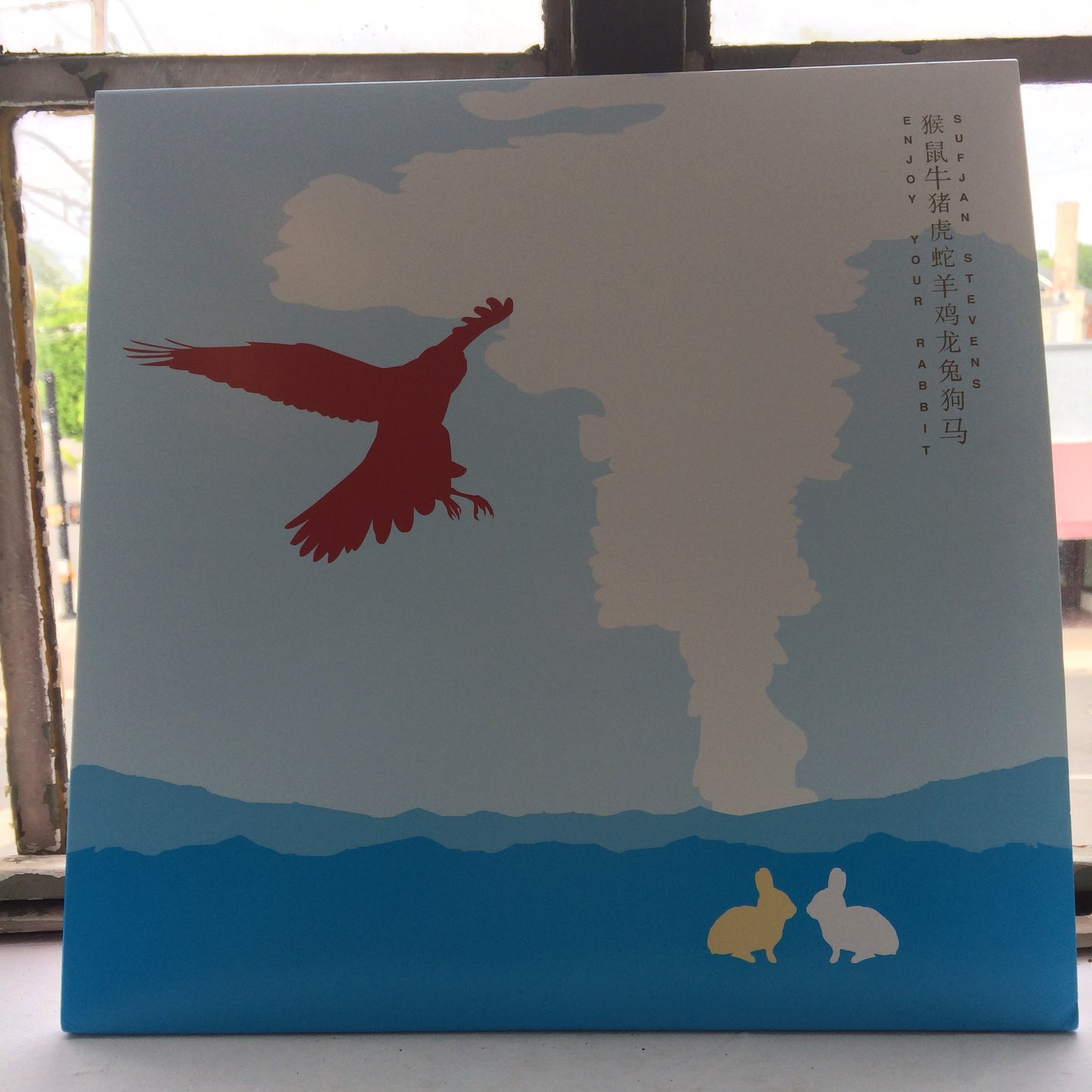 Sufjan Stevens - Enjoy Your Rabbit