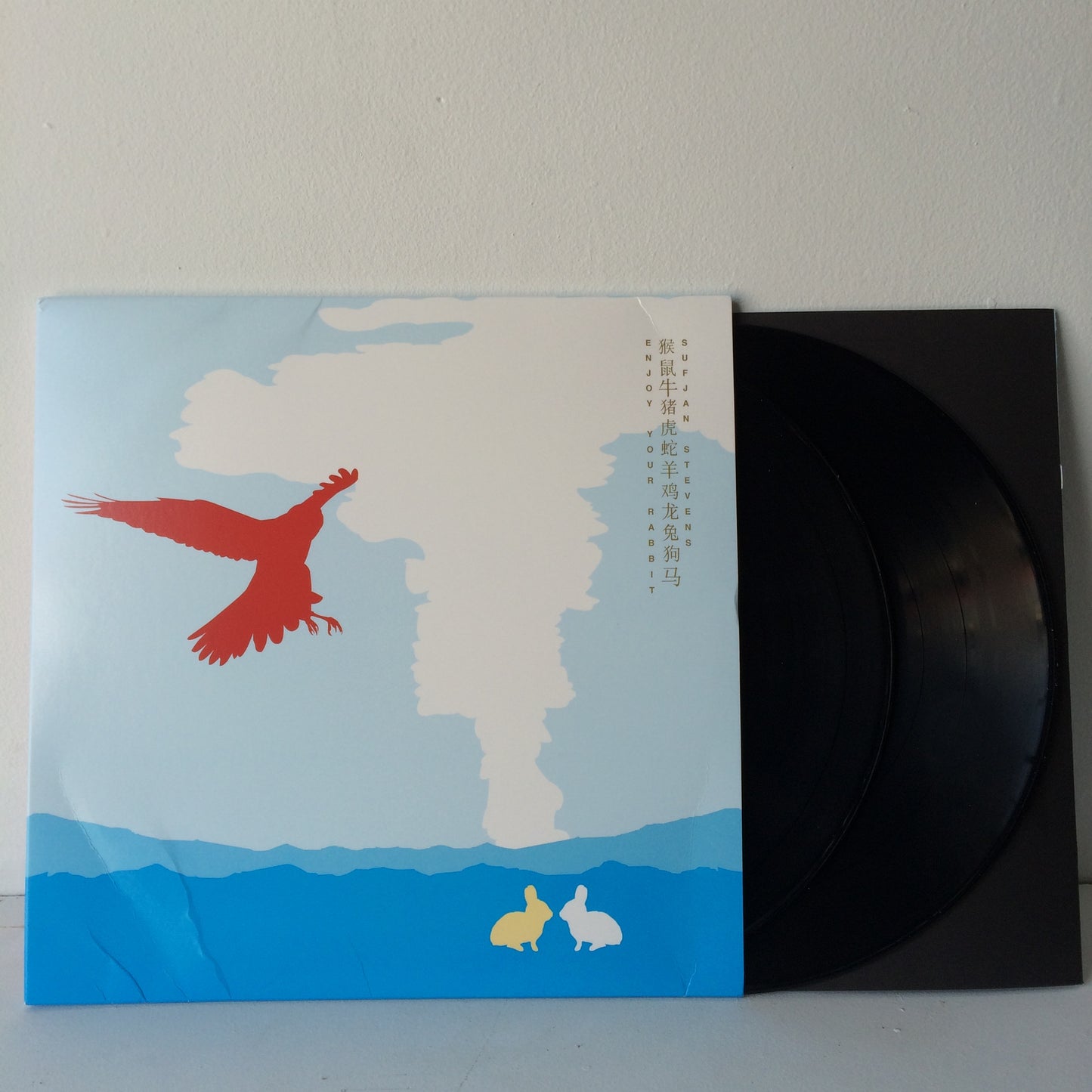 Sufjan Stevens - Enjoy Your Rabbit