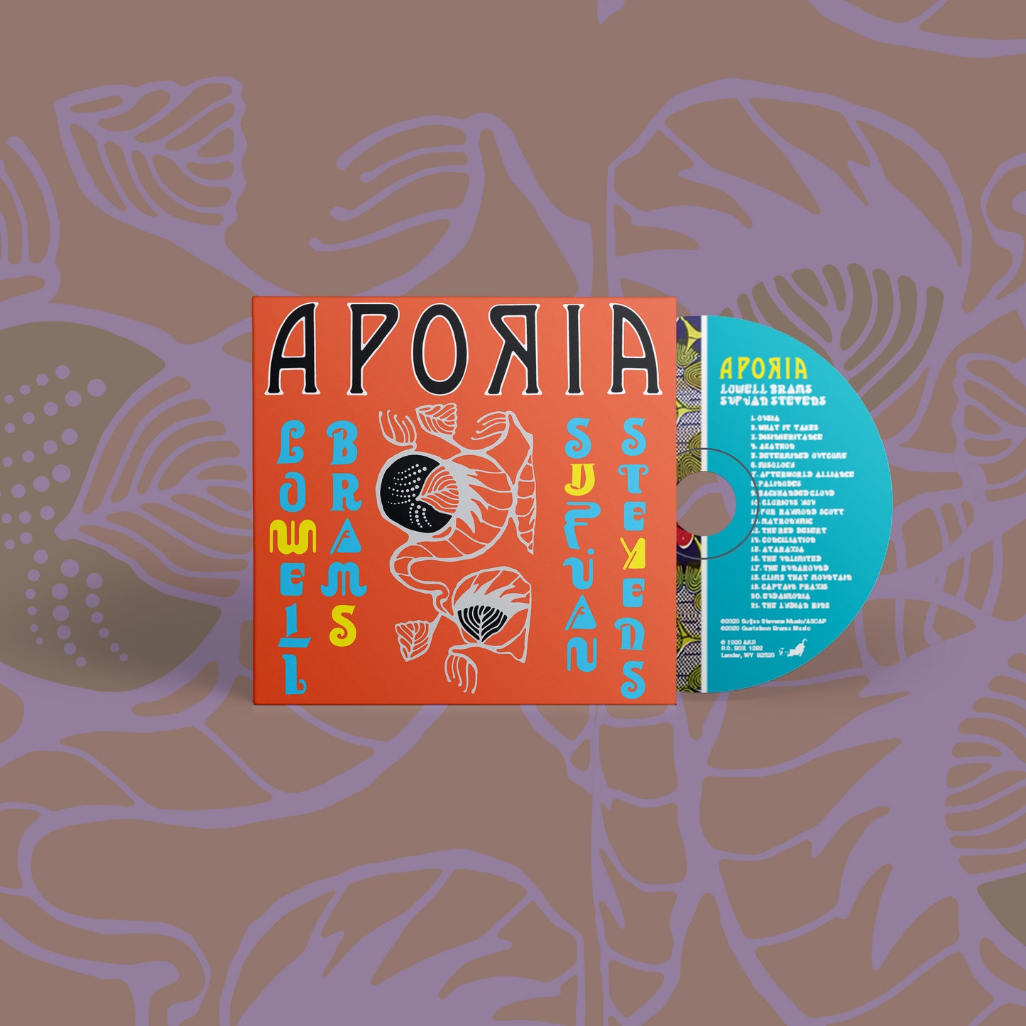 Sufjan Stevens & Lowell Brams - Aporia