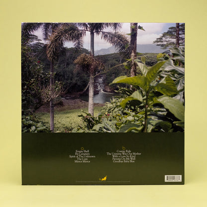 Angelo De Augustine - Angel In Plainclothes LP