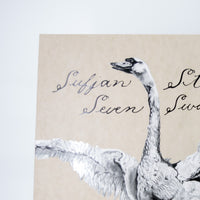 Sufjan Stevens - Seven Swans (20th Anniversary AKR Deluxe Edition)