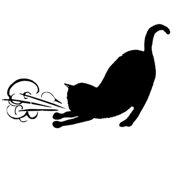 Carrie & Lowell (10th Anniversary Edition) – Asthmatic Kitty Records