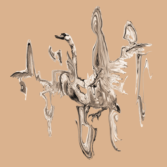 Sufjan Stevens - Seven Swans 20th Anniversary T-Shirt