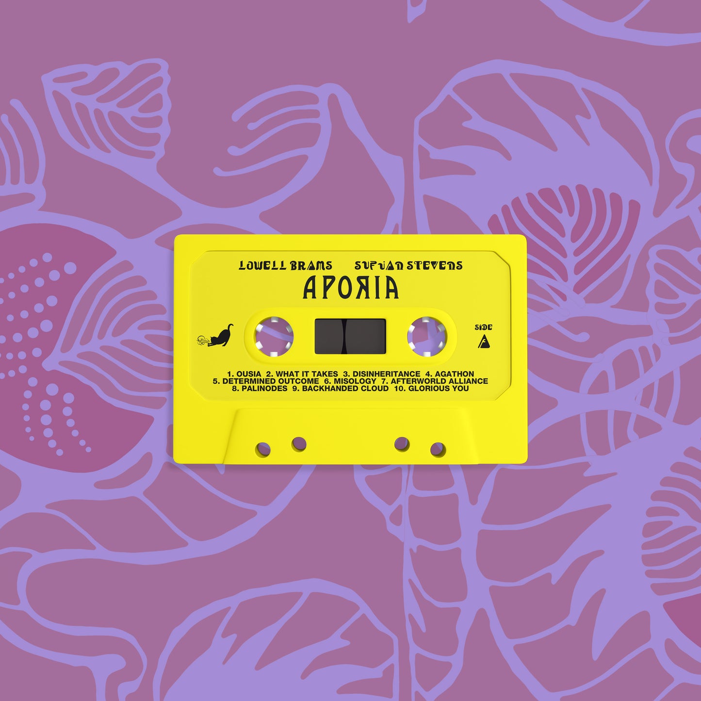 Sufjan Stevens & Lowell Brams - Aporia